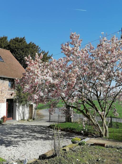 Gite Rural La Ferme Du Semeur-Zaaiershof Lessines Eksteriør billede